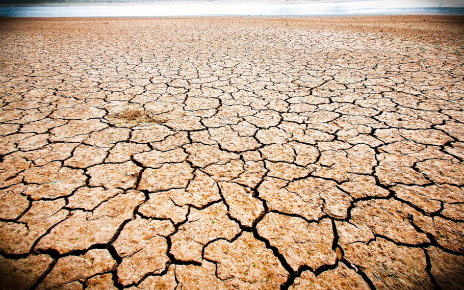 Reducing Water Use During Drought Conditions